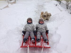 Andy şi Teo, bucurându-se de prima zăpadă din viața lor