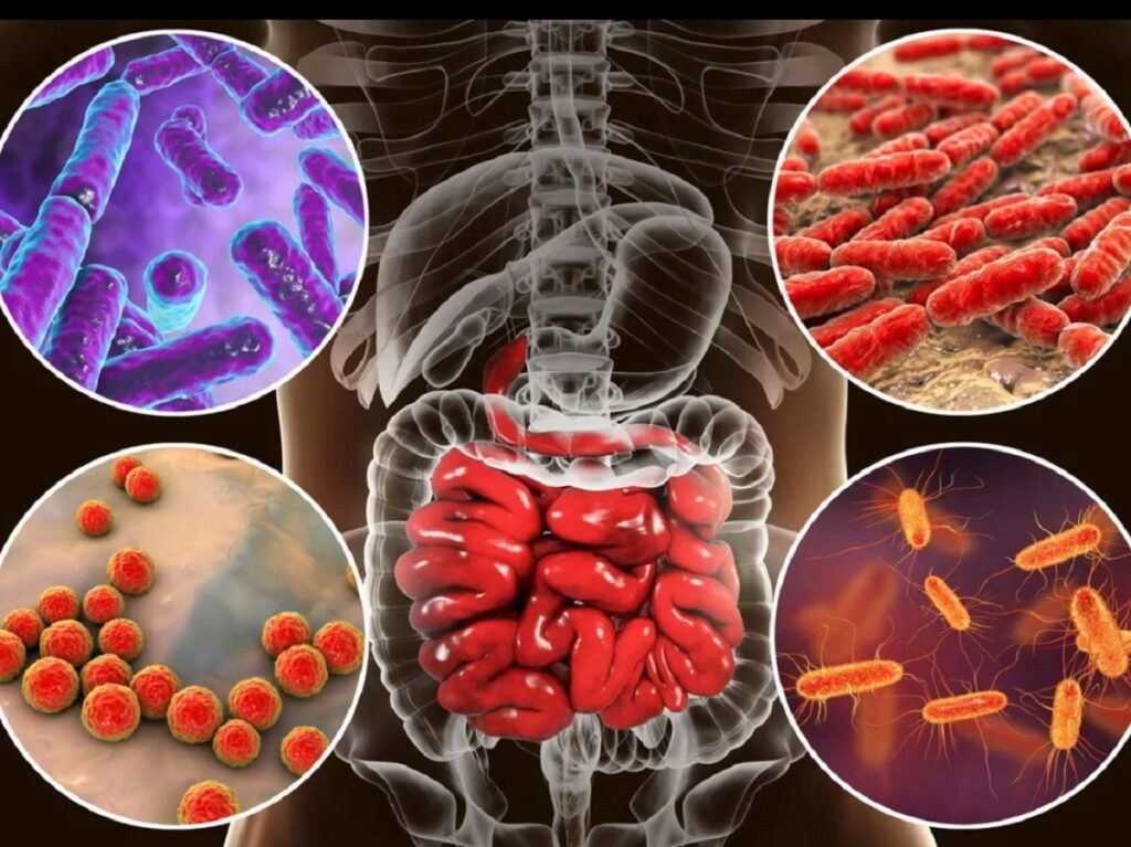 bacterii intestinale