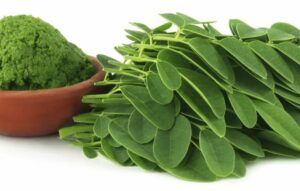 Moringa