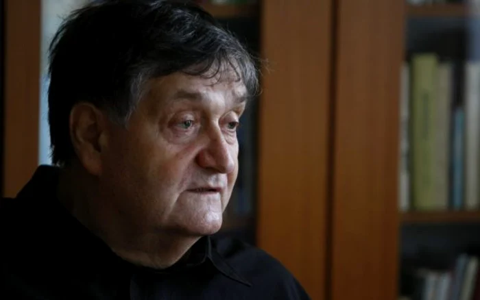 Alex Ştefănescu, critic literar