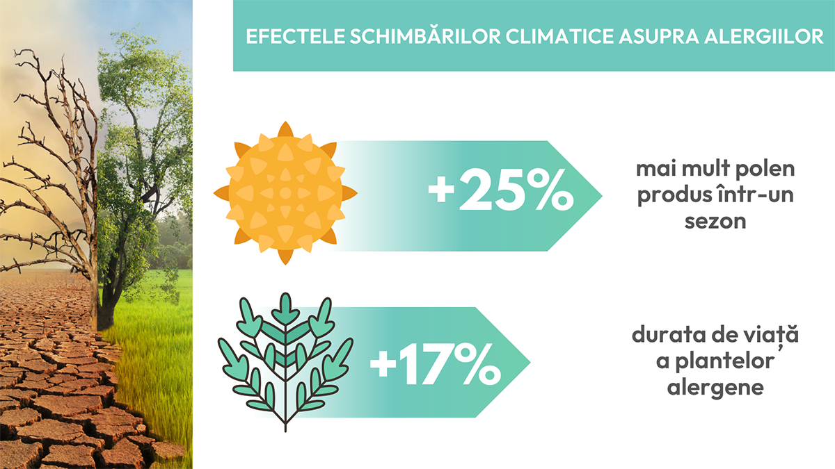 Schimbările climatice cresc incidența alergiilor. „Viitorul nu sună foarte bine!”