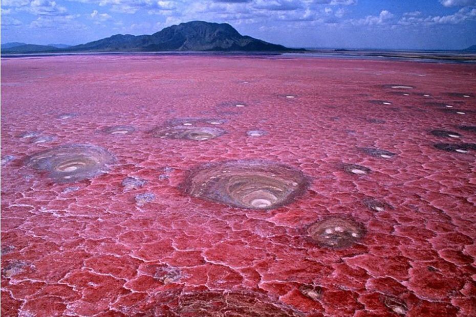 Lacul Natron din Tanzania