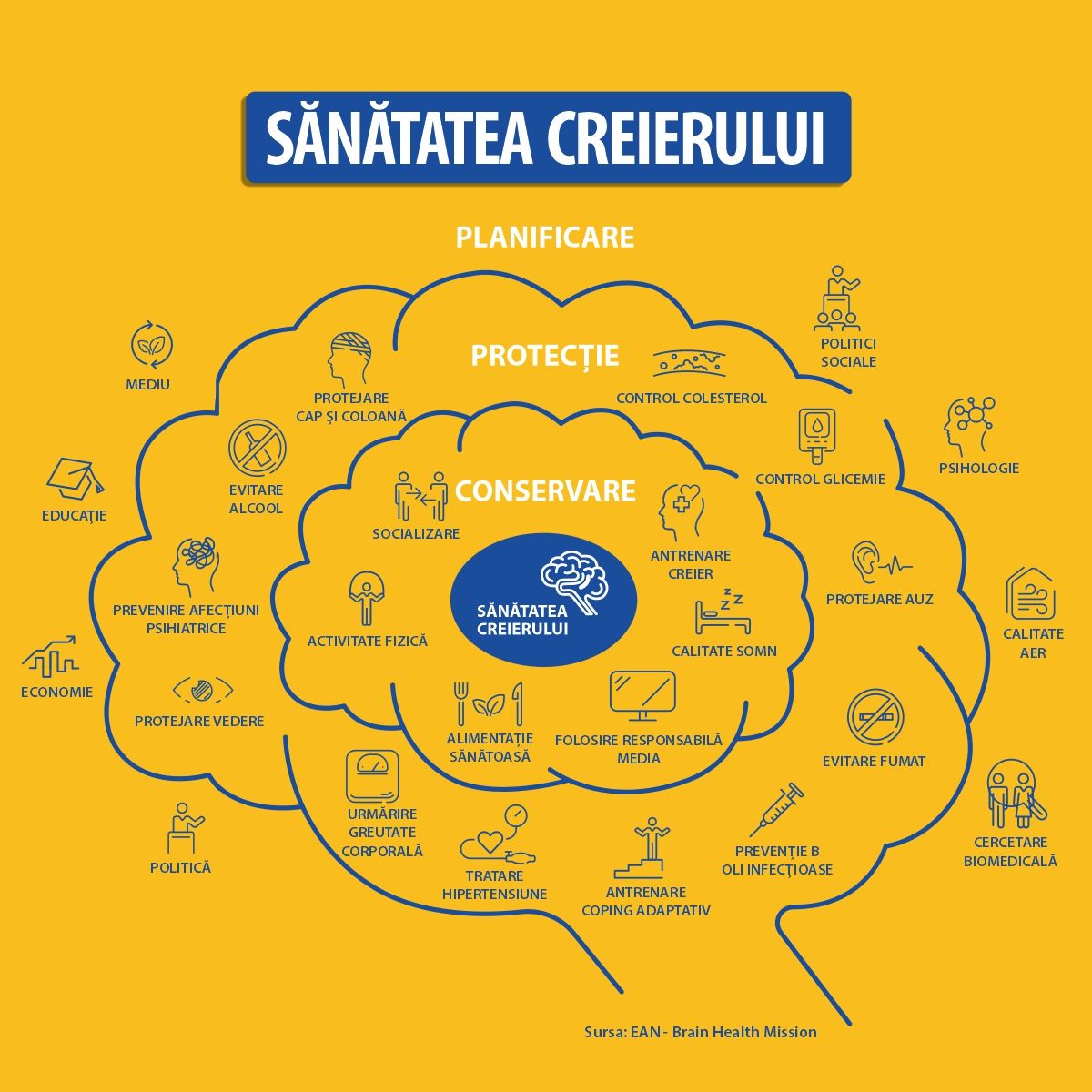 Săptămâna de conștientizare a creierului 2025: progrese în cercetarea creierului și importanța sănătății neurologice